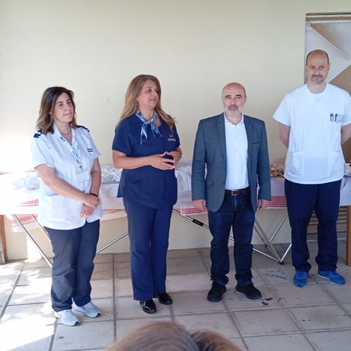 ΓΙΟΡΤΗ ΝΟΣΗΛΕΥΤΡΙΑΣ